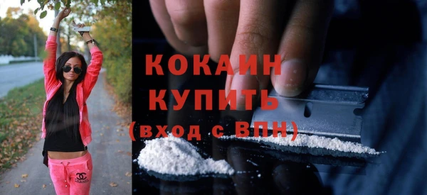 твердый Бородино