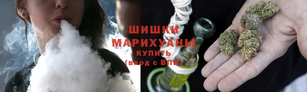 твердый Бородино