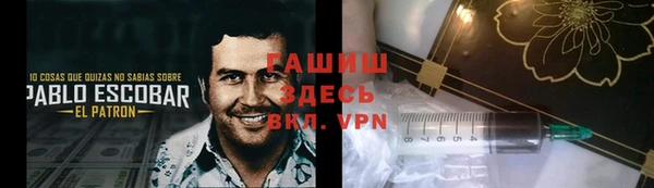 твердый Бородино