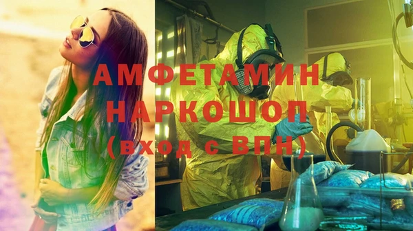 твердый Бородино