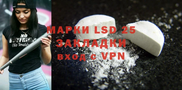 стафф Осинники